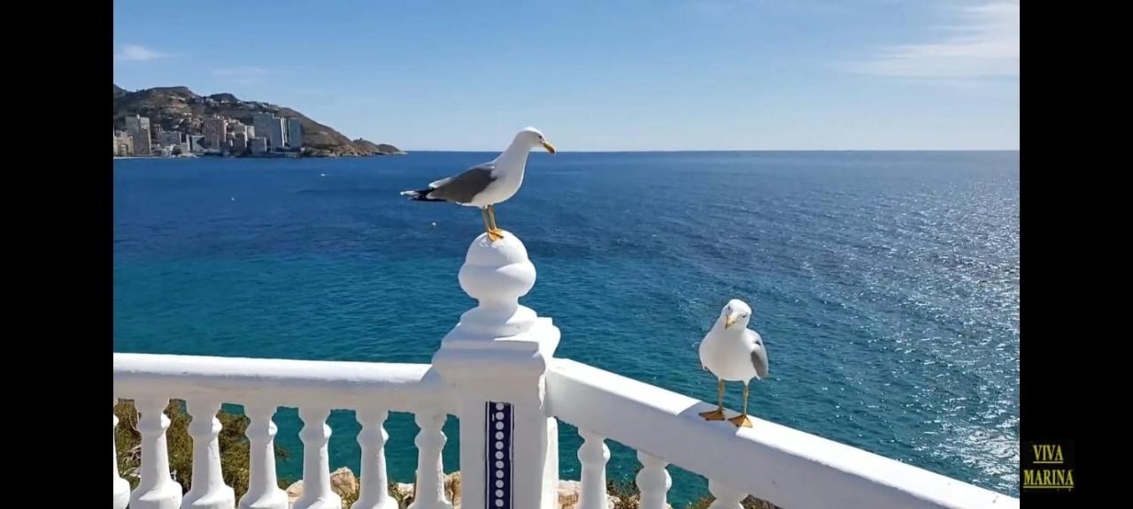 Apartament Sun