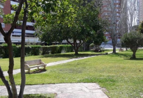 Apartament Sun *