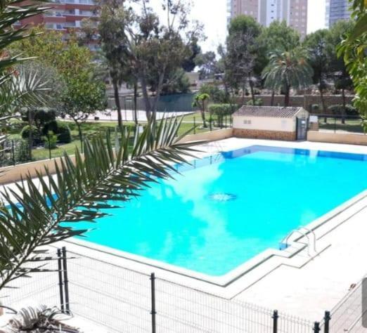 Apartament Sun *